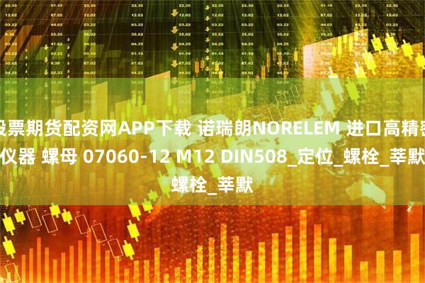 股票期货配资网APP下载 诺瑞朗NORELEM 进口高精密仪器 螺母 07060-12 M12 DIN508_定位_螺栓_莘默