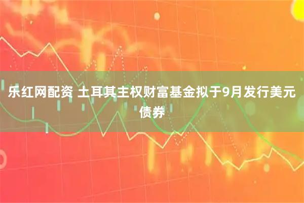 乐红网配资 土耳其主权财富基金拟于9月发行美元债券